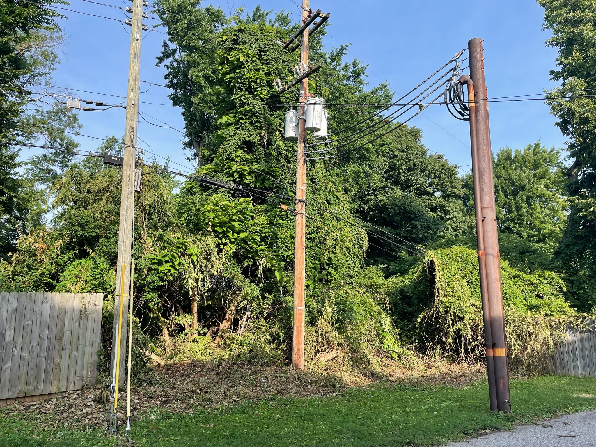 Yard after vegetation clearing — overgrowth cut back revealing utility poles and open sky